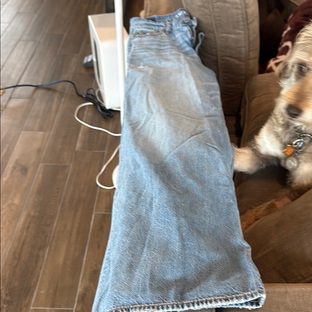 American Eagle Outfitters Light Blue Flare Jeans